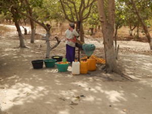 Lamin Lodge_Smiling Child of The Gambia